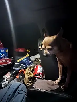 FloppyPickle4u webcam