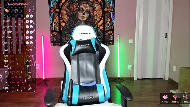 Project_hisoka webcam