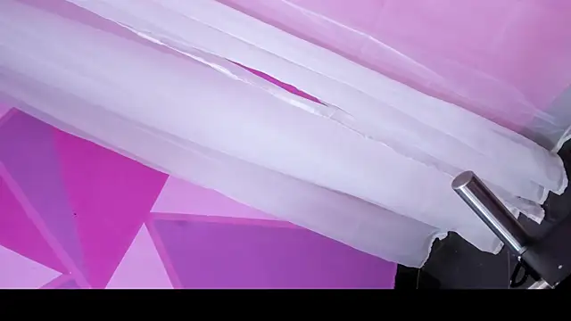 Charlotte_Bms_ webcam