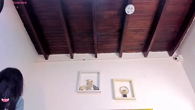 vahiolet_fuentes webcam