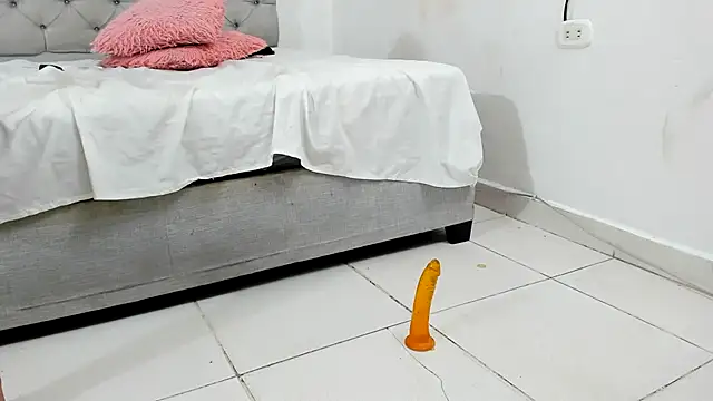 Sophie_and_andress webcam