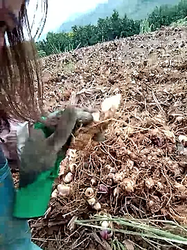 Jelly-Milk123 webcam