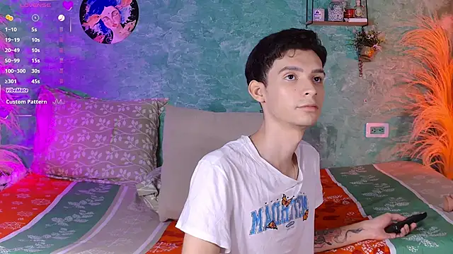 VicenteFerrer webcam