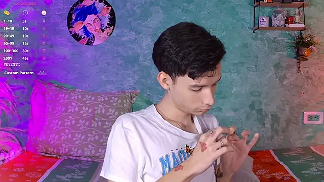 VicenteFerrer webcam