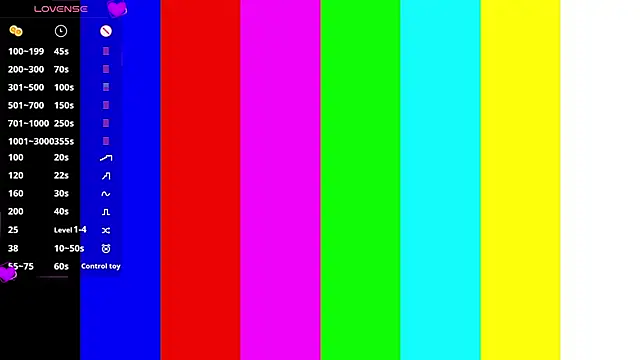 SibleyAllston webcam