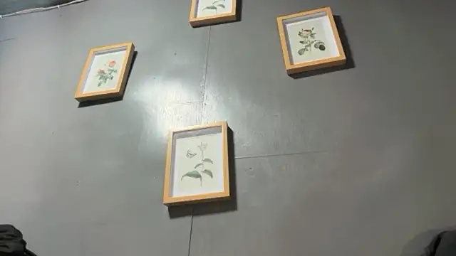 SimplyDark_Denice webcam