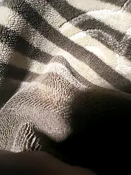 lundkaraja8084 webcam