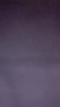 RinsingWood84 webcam