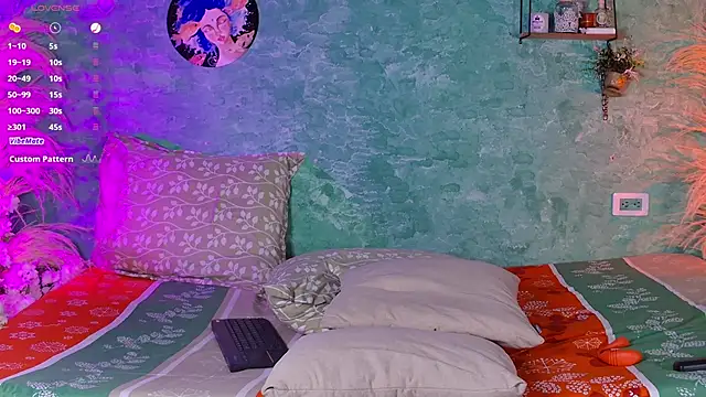 VicenteFerrer webcam