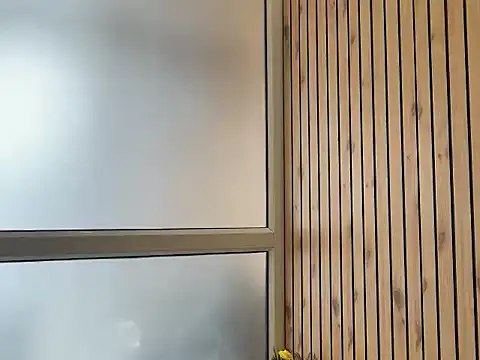 DarkMasterDesire webcam