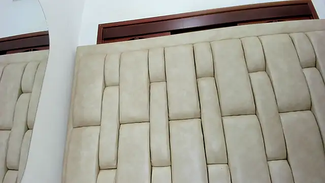 CrystalHeat_OS webcam