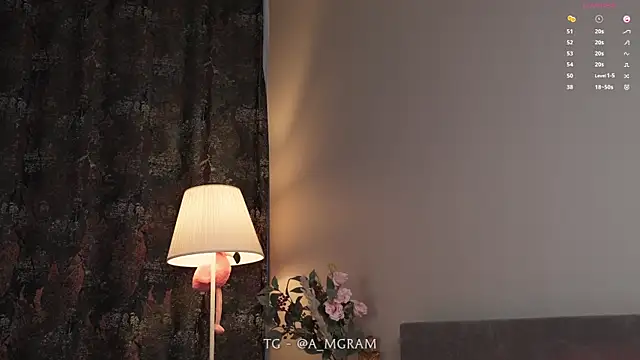 disco_elysium webcam