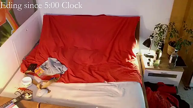 EdelHolz91 webcam