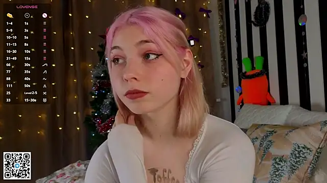 SibleyDurborow webcam