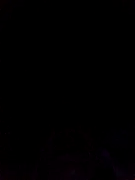 tiffanystorms- webcam