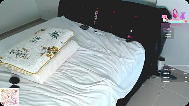 meridandwither webcam