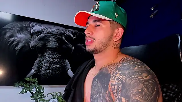 king_falconer webcam