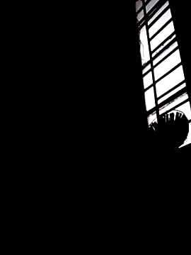 mdshovohossen webcam