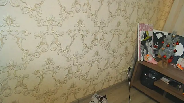 DolphinDreams webcam