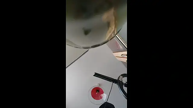 Gilgamesch1704 webcam