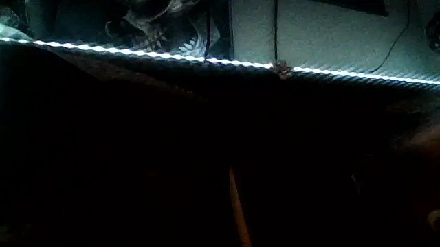 bigdaddyrooster webcam