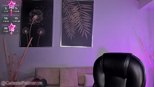 CelestePalmer_ webcam