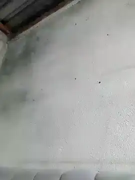 Oneofthebest2 webcam