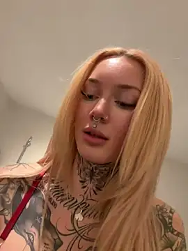 Stella-Kink webcam