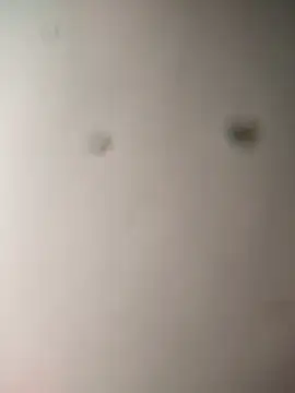 BLACK_CUCUMBER webcam