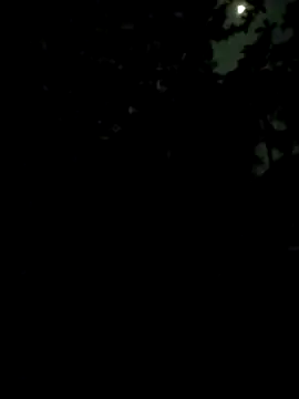 Tamil_boygirl_pussy_rider webcam