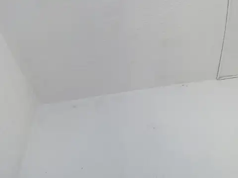 nebula_lux - Nebula_Lux's free webcam - UK Sex Cams