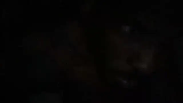 Rayraythegoat webcam