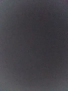 MonasticCanine webcam