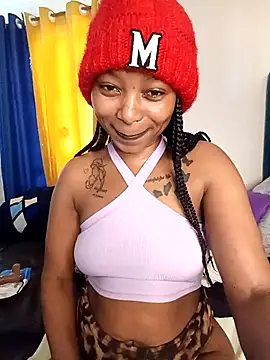 schatz_harvin webcam