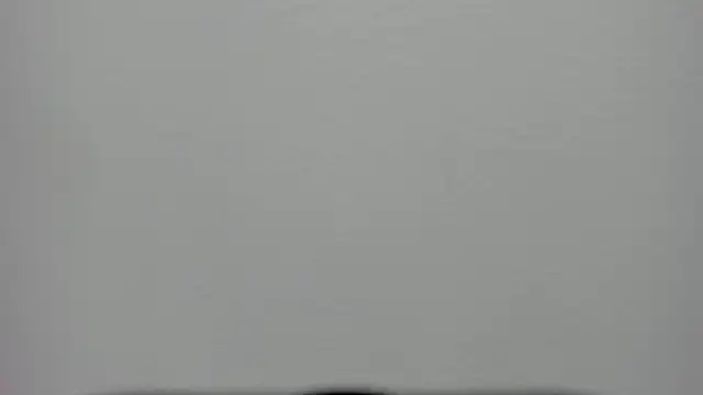 Taylor__Watson webcam