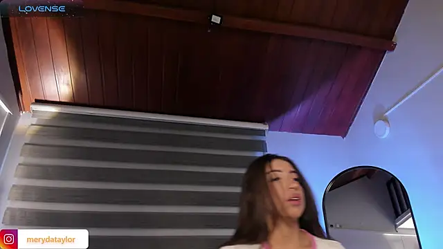 MERIDA_TAYLOR webcam