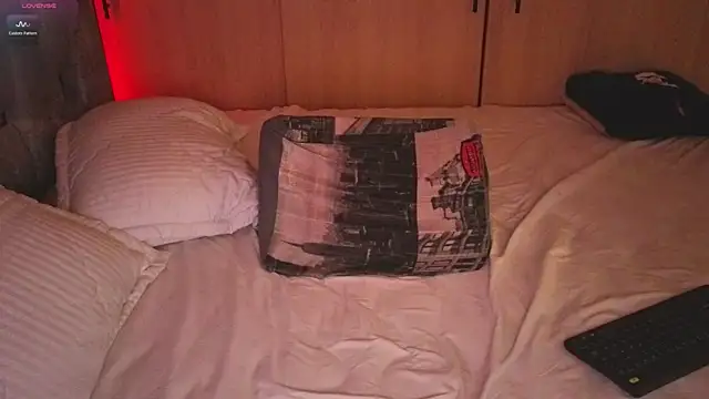 orionblaze69_ webcam