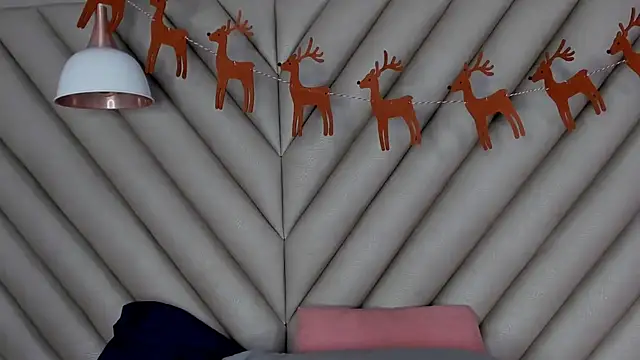 Ibbie_drastic webcam