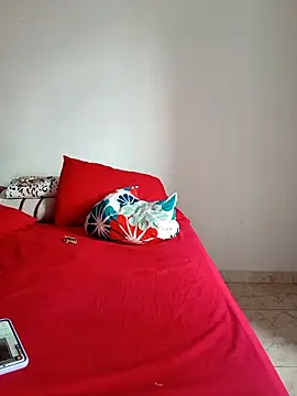 LEIRIS_Y_FRED_01 webcam