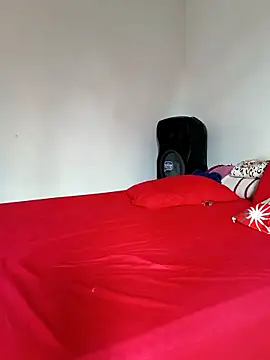 LEIRIS_Y_FRED_01 webcam