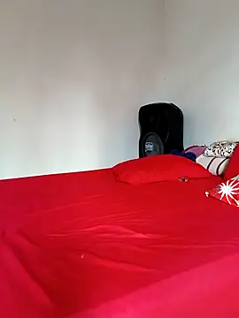 LEIRIS_Y_FRED_01 webcam