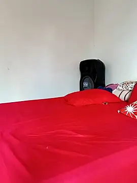 LEIRIS_Y_FRED_01 webcam