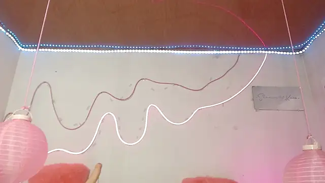 shannon_kinne_ webcam