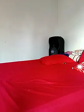 LEIRIS_Y_FRED_01 webcam