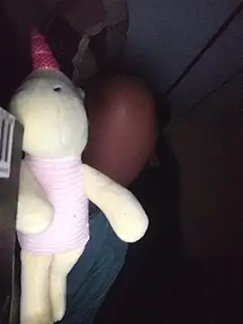 L9vefromAkhil webcam