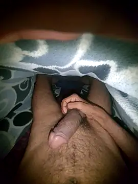 Desi_Horny_Boys webcam