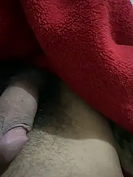 priyansh92929 webcam