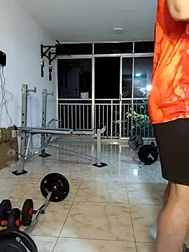 LEIRIS_Y_FRED_01 webcam