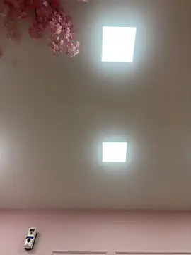 Colibri_Centaura webcam