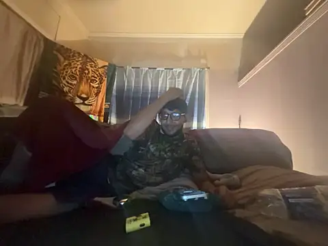 ThrowedWorldWide webcam